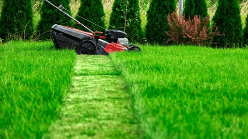 Lawn